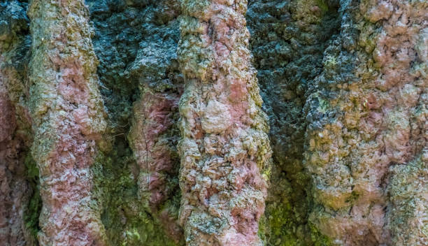 Close-up view of asbestlint dust particles on damaged insulation material