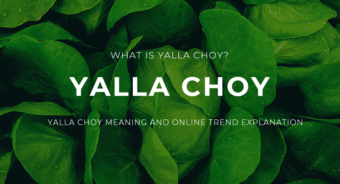 What Is Yalla Choy Guide
