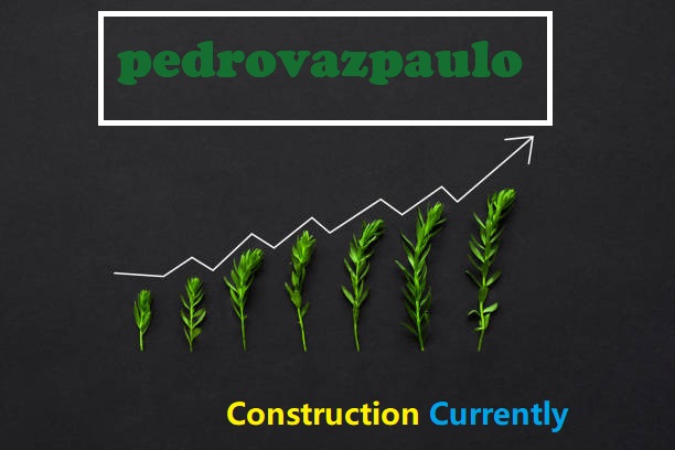 pedrovazpaulo digital branding concept illustration